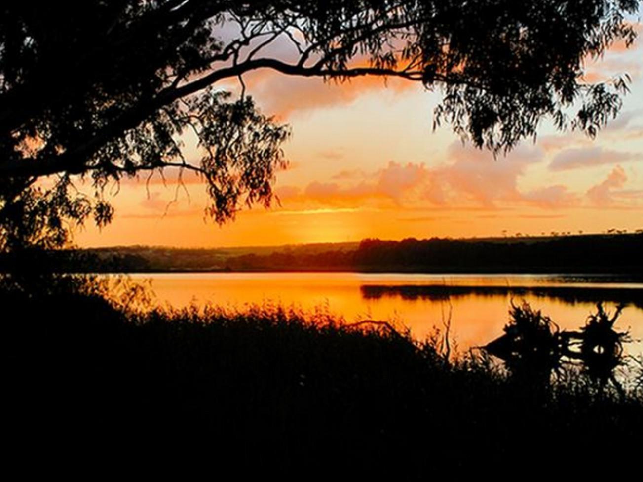 Riverview Rise Retreats Mannum Εξωτερικό φωτογραφία
