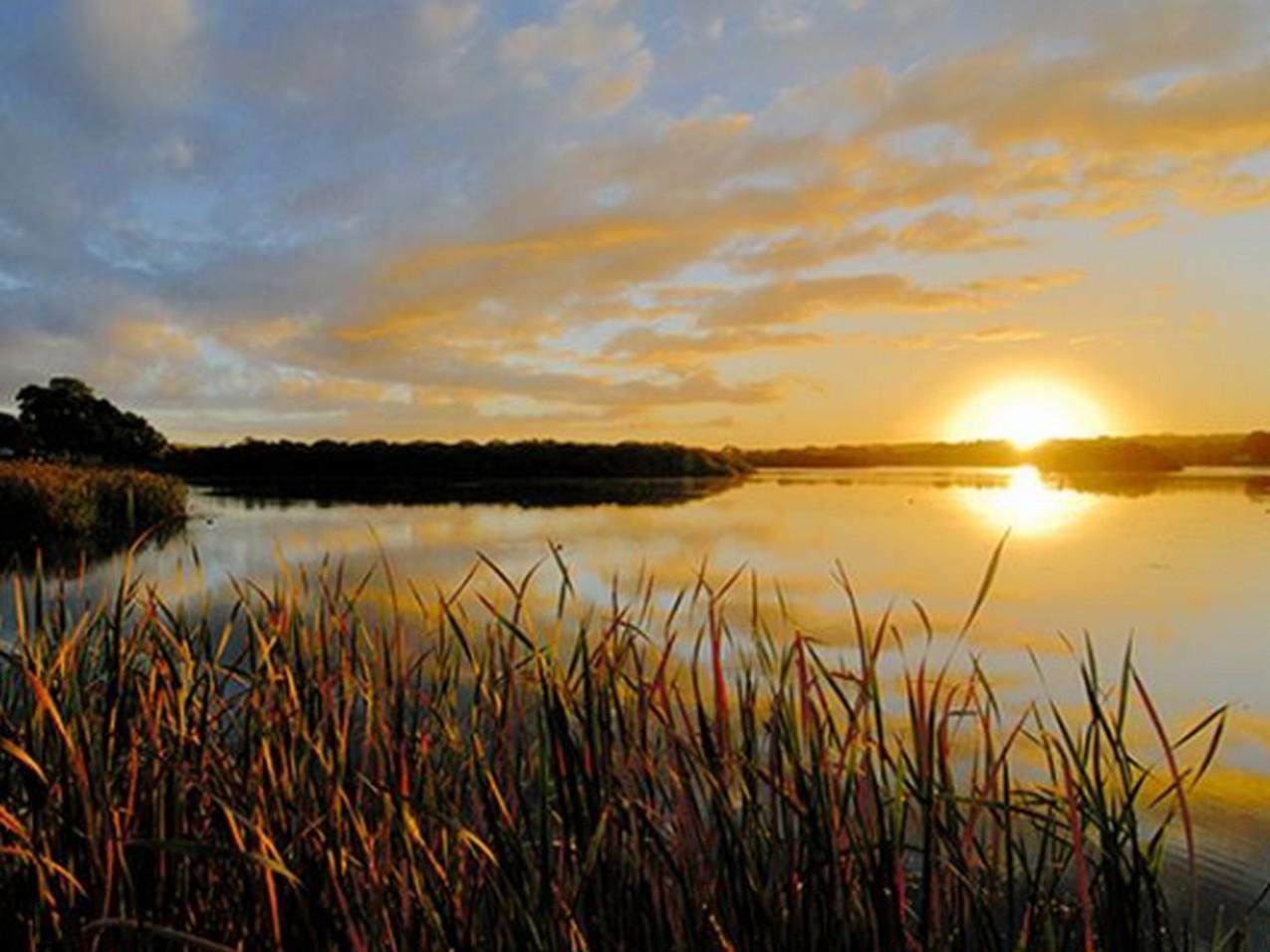 Riverview Rise Retreats Mannum Εξωτερικό φωτογραφία