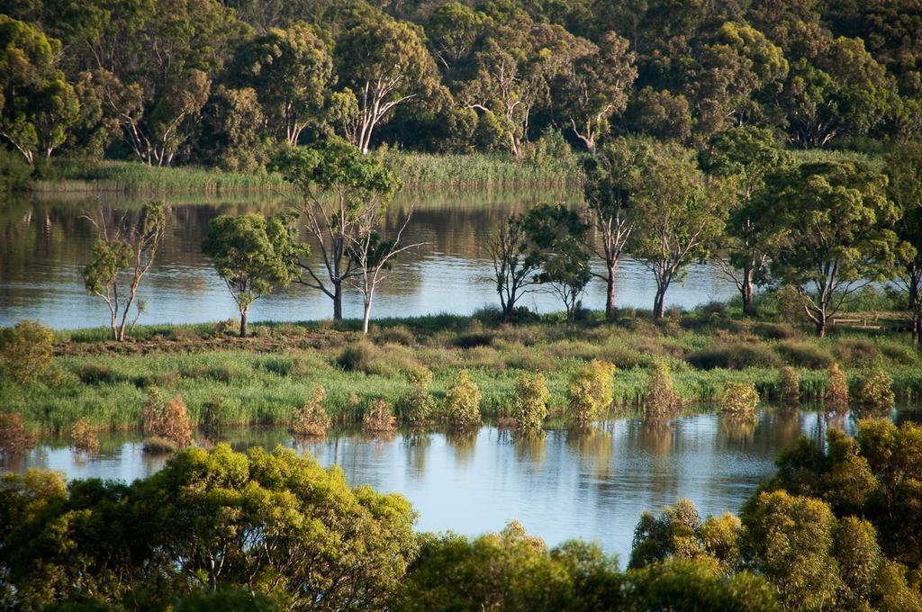 Riverview Rise Retreats Mannum Εξωτερικό φωτογραφία