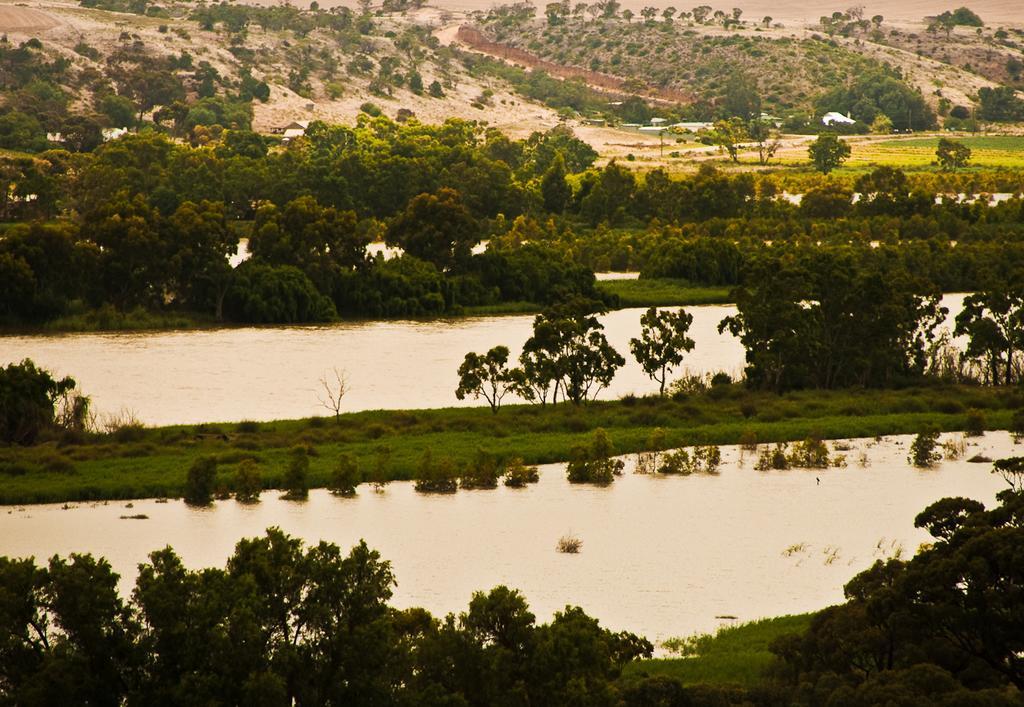 Riverview Rise Retreats Mannum Εξωτερικό φωτογραφία