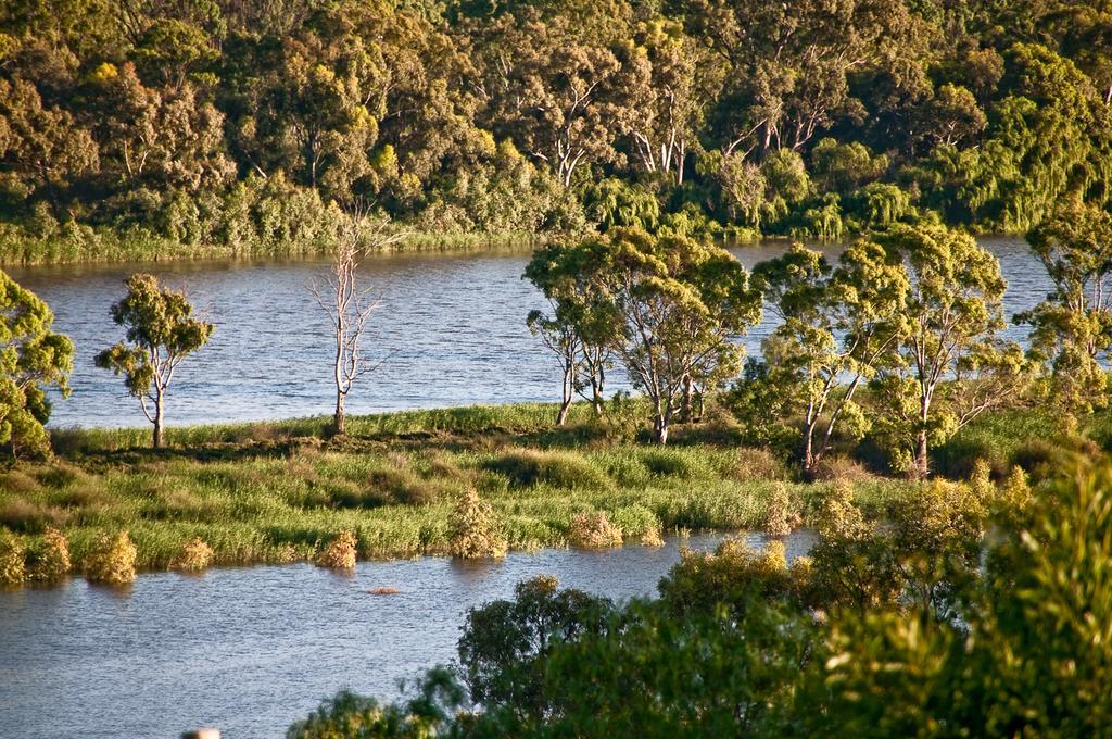 Riverview Rise Retreats Mannum Εξωτερικό φωτογραφία