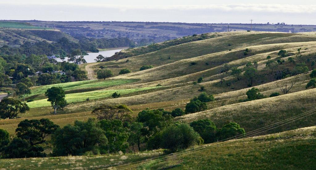 Riverview Rise Retreats Mannum Εξωτερικό φωτογραφία