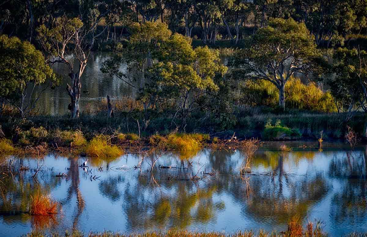 Riverview Rise Retreats Mannum Εξωτερικό φωτογραφία
