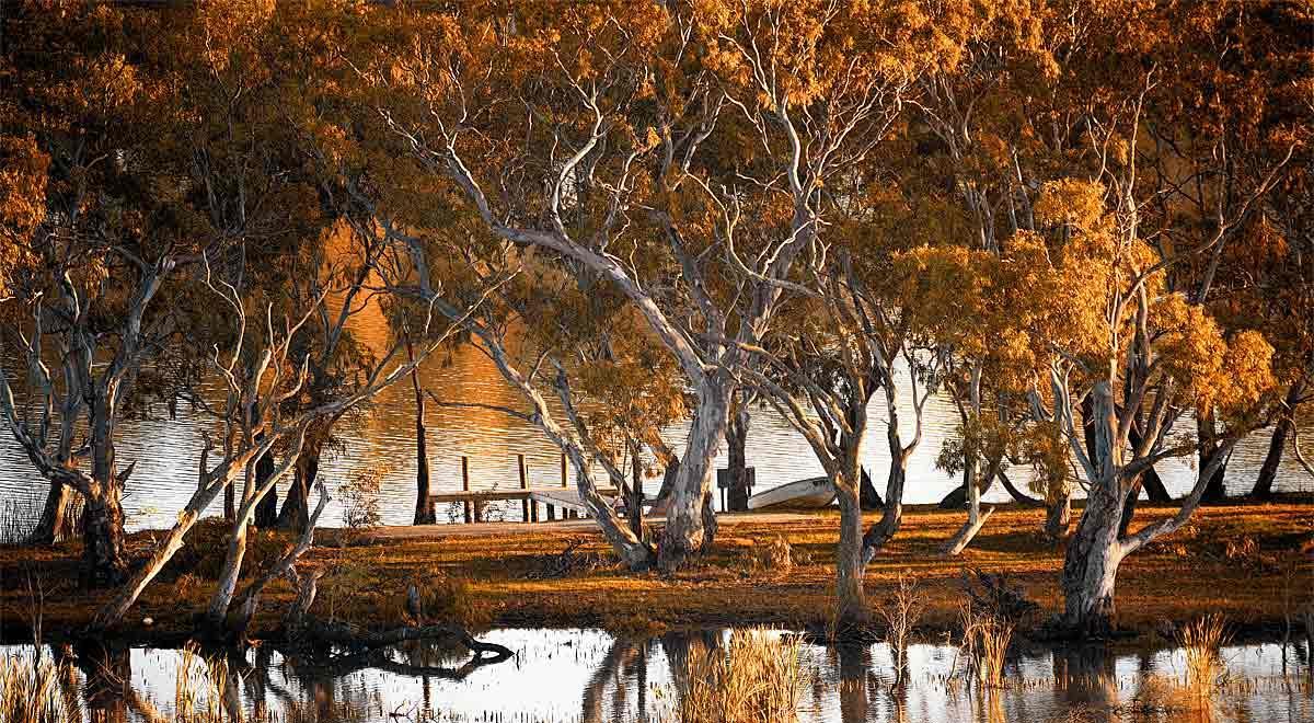 Riverview Rise Retreats Mannum Εξωτερικό φωτογραφία