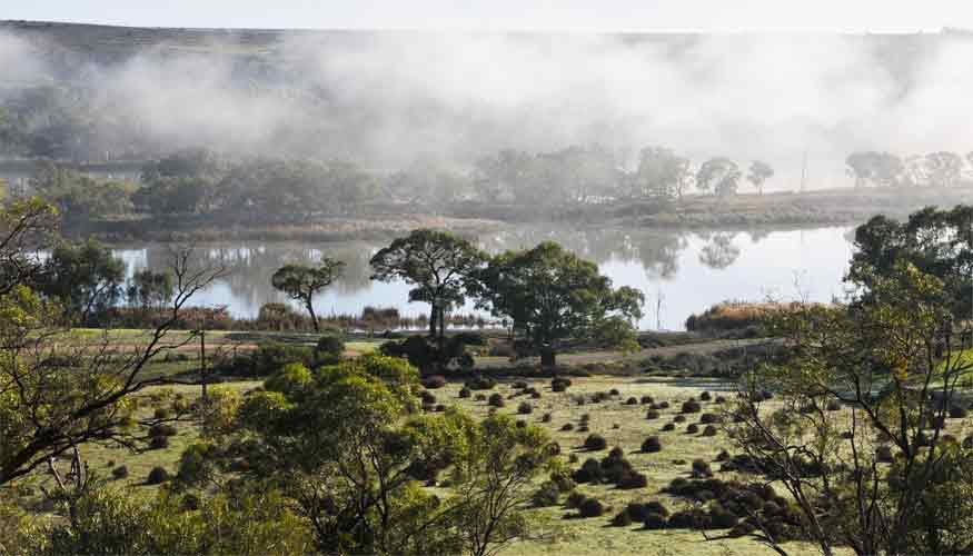 Riverview Rise Retreats Mannum Εξωτερικό φωτογραφία