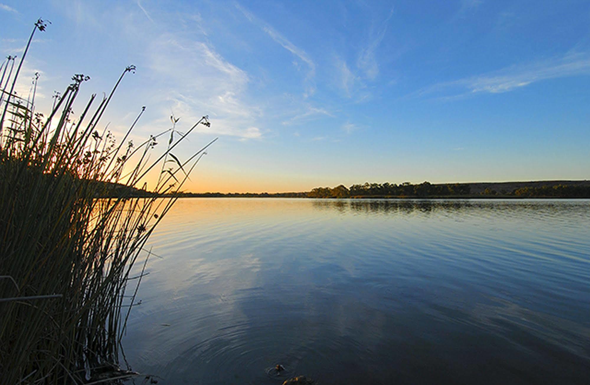 Riverview Rise Retreats Mannum Εξωτερικό φωτογραφία