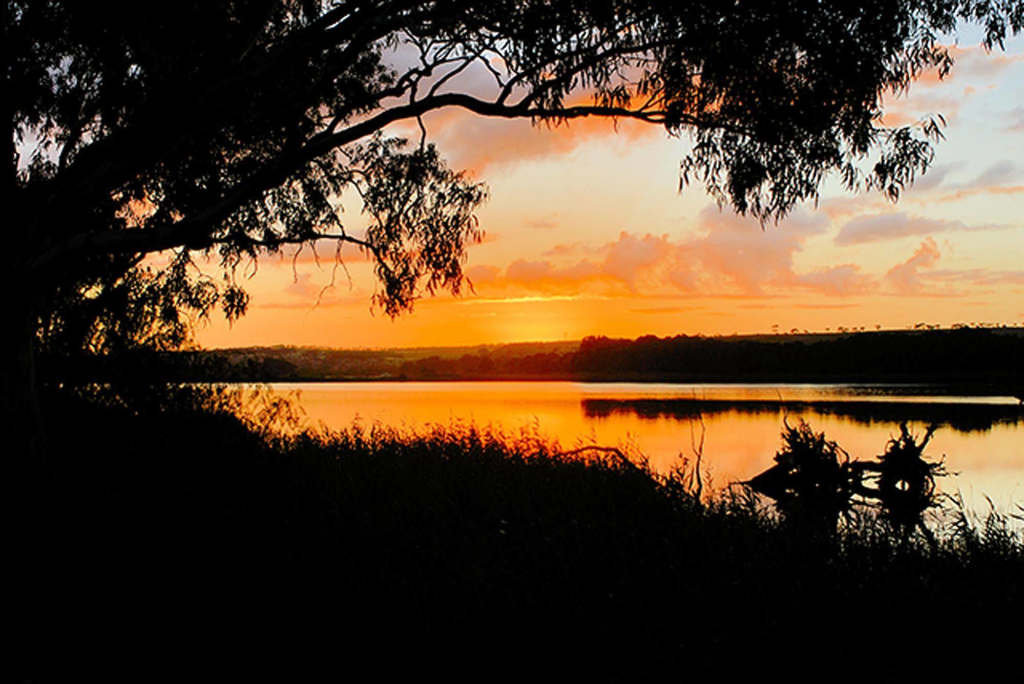 Riverview Rise Retreats Mannum Εξωτερικό φωτογραφία